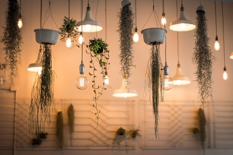 Decorative garden lights